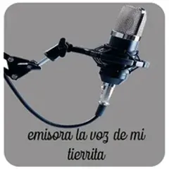 La voz de mi tierrita 94.1 FM